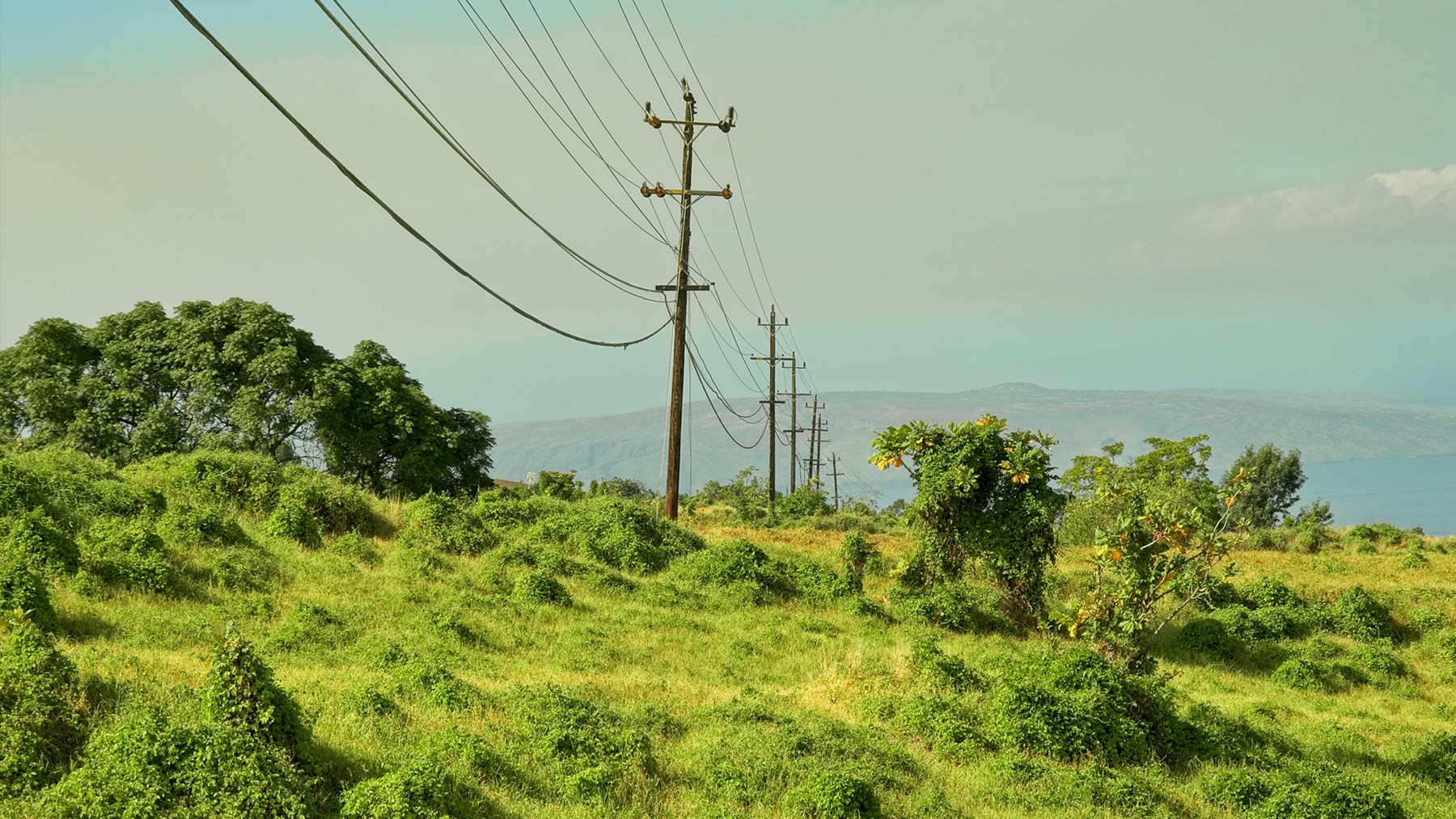 a photo from How is Hawai'i meeting the challenge of rapidly transitioning to 100% renewable energy?