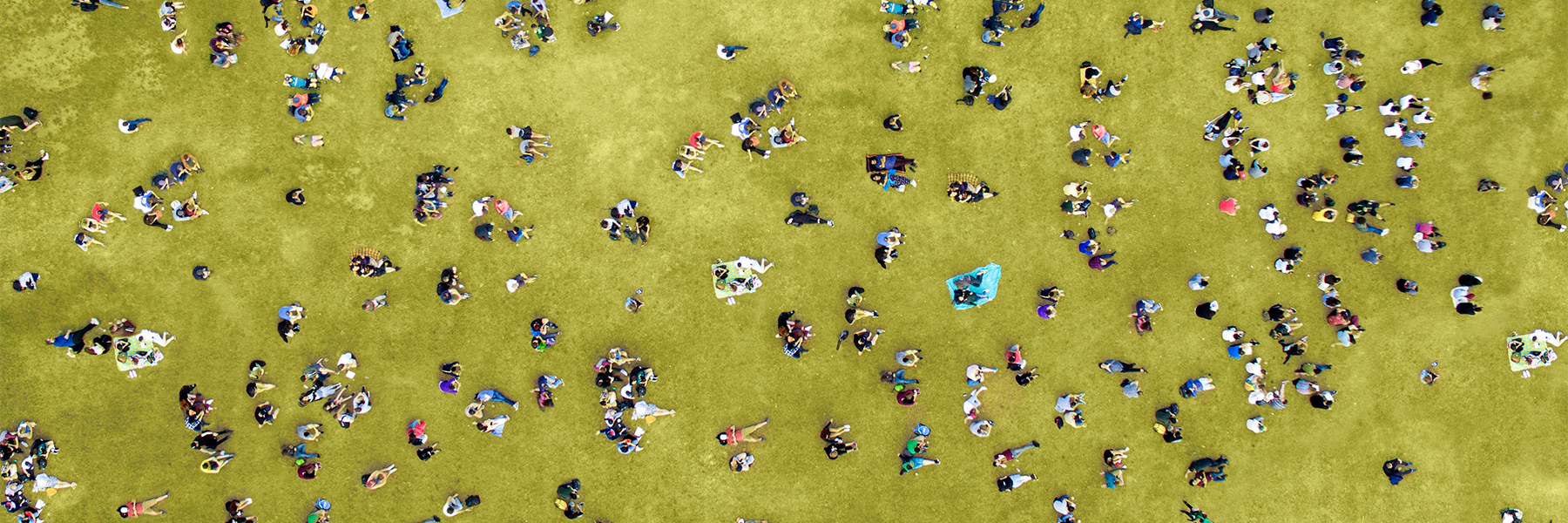 Overhead view of people spread out sitting in a field, individually and in goups