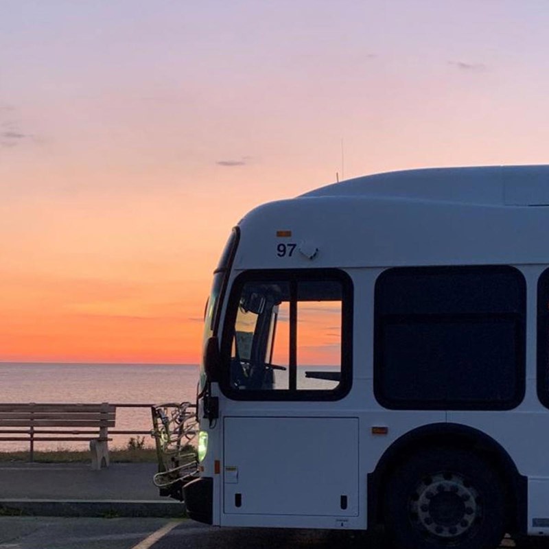 public transportaion bus
