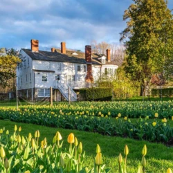 A photo of the Realizing measured decarbonization for every type of property project