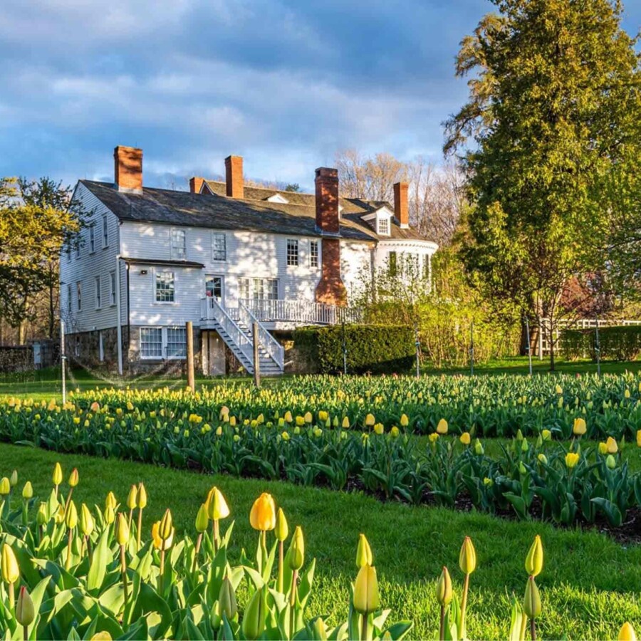 A photo of the Realizing measured decarbonization for every type of property project